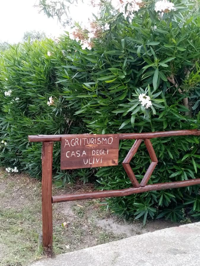 לינה וארוחת בוקר צ'רבטרי Casa Degli Ulivi מראה חיצוני תמונה